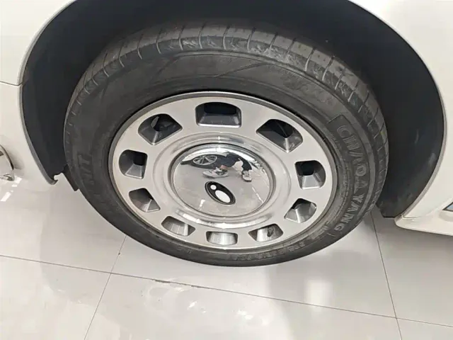 Ora Ballet Cat — Фото автомобиля 22