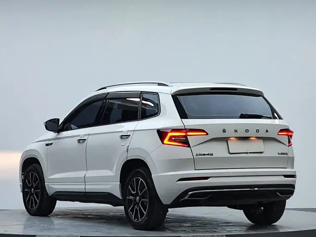 Skoda Karoq — Фото автомобиля 6