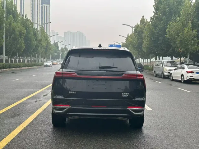 Wey Lanshan — Фото автомобиля 8