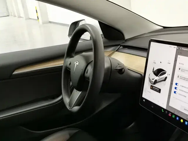 Tesla Model 3 — Фото автомобиля 22