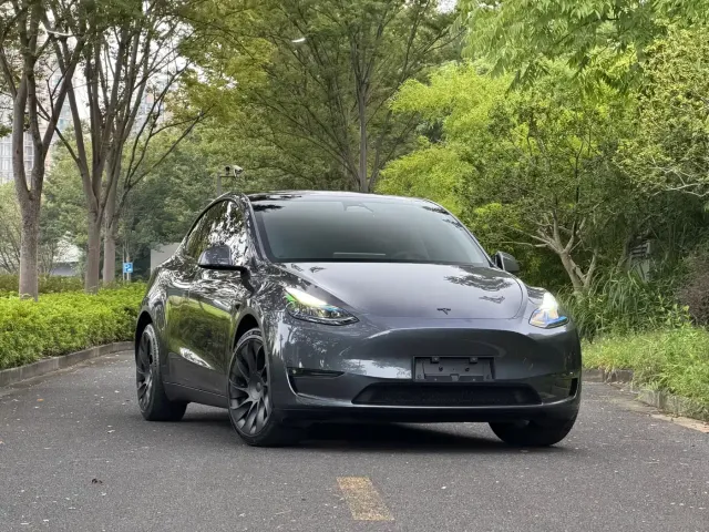 Tesla Model Y — Фото автомобиля 3