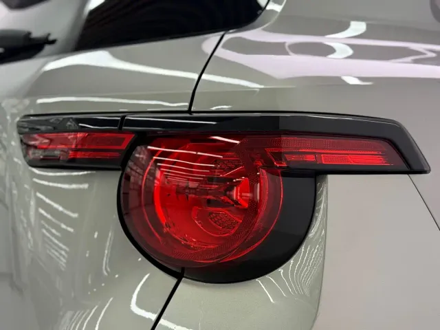 Haval Big Dog — Фото автомобиля 21