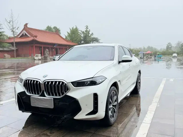 Фотография автомобиля — BMW X6