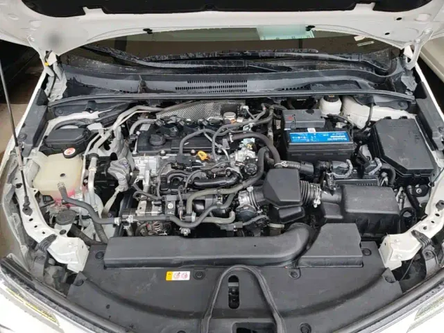 Toyota Corolla — Фото автомобиля 19