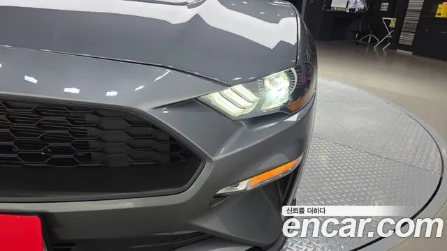 Ford Mustang — Фото автомобиля 22