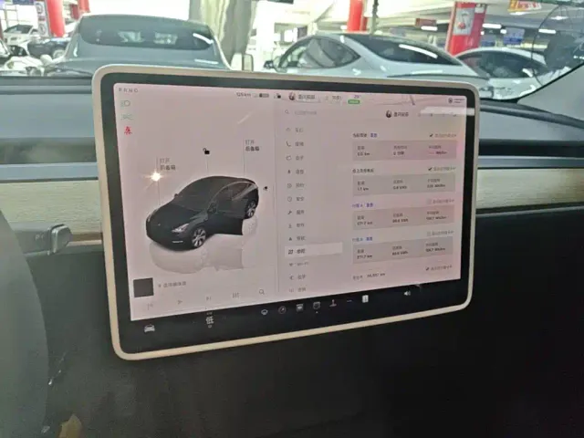 Tesla Model Y — Фото автомобиля 12