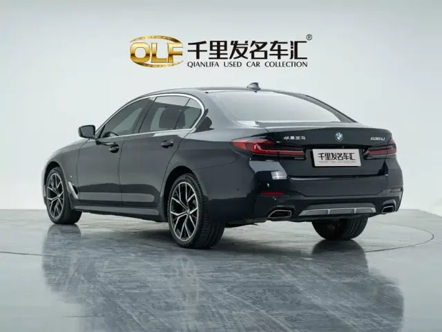 BMW 5 Series — Фото автомобиля 8