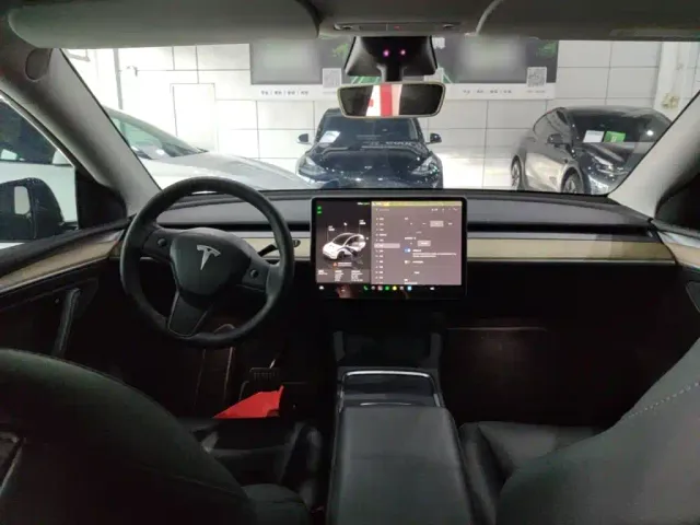 Tesla Model Y — Фото автомобиля 9