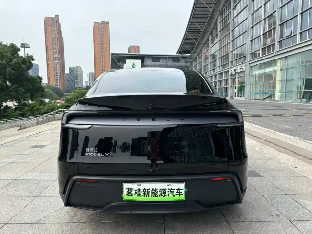 Tesla Model Y — Фото автомобиля 4