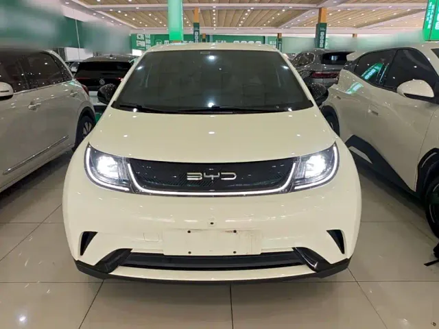 BYD Dolphin — Фото автомобиля 2