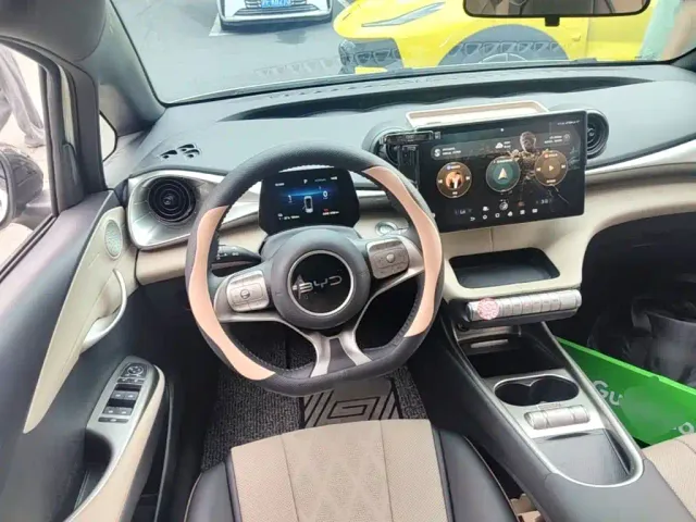 BYD Dolphin — Фото автомобиля 10
