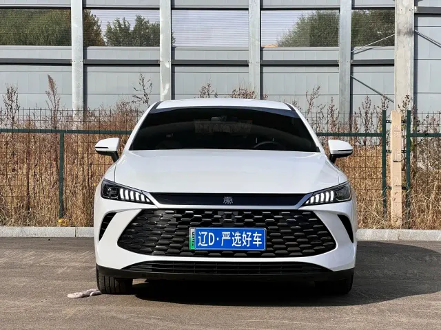 BYD Qin PLUS — Фото автомобиля 2