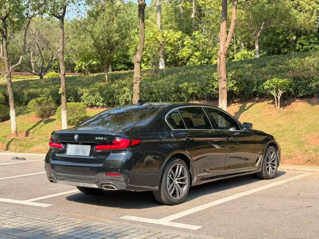 BMW 5 Series — Фото автомобиля 8