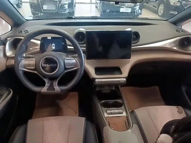 BYD Dolphin — Фото автомобиля 9