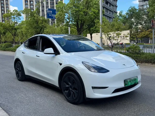 Tesla Model Y — Фото автомобиля 3