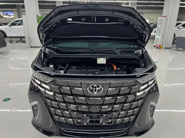 Toyota Alphard — Фото автомобиля 28