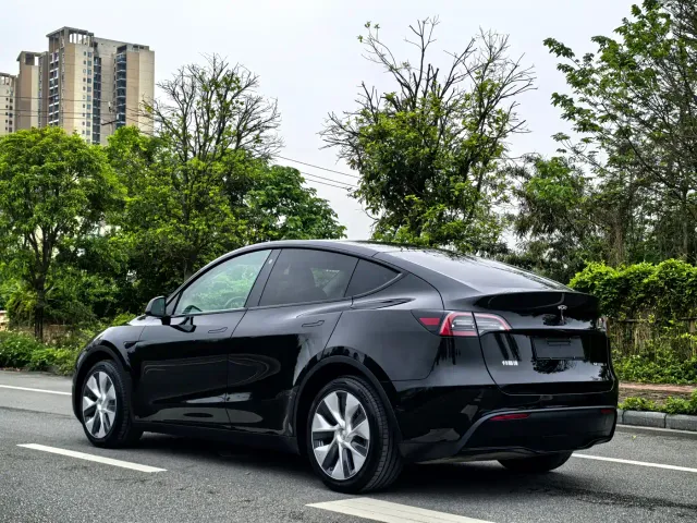 Tesla Model Y — Фото автомобиля 4