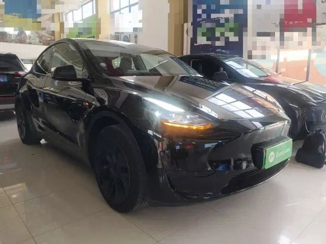 Tesla Model Y — Фото автомобиля 3