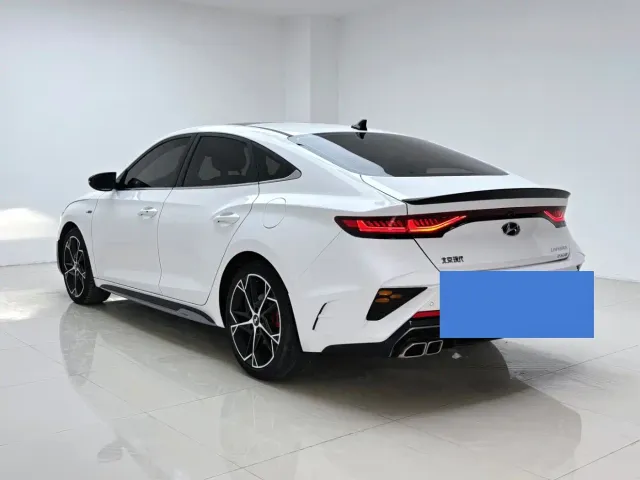Hyundai Fista — Фото автомобиля 4