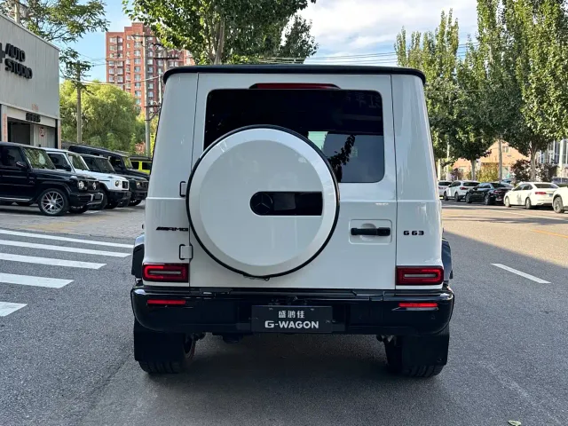 Mercedes-Benz G-Class AMG — Фото автомобиля 5