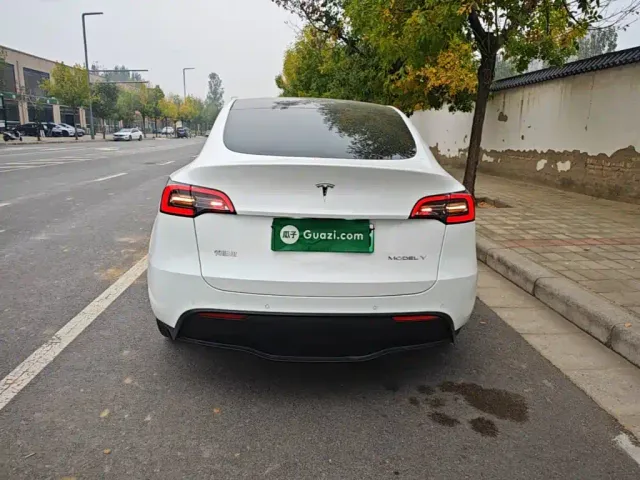 Tesla Model Y — Фото автомобиля 5