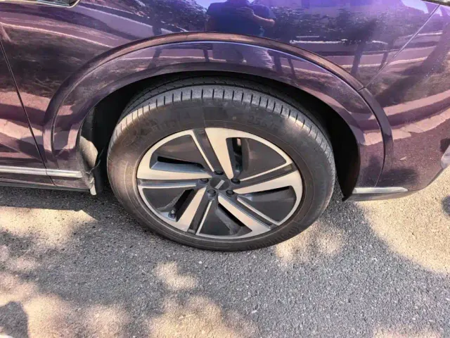 Wey Lanshan — Фото автомобиля 6
