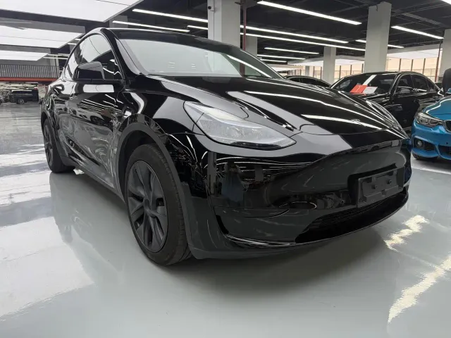 Tesla Model Y — Фото автомобиля 3
