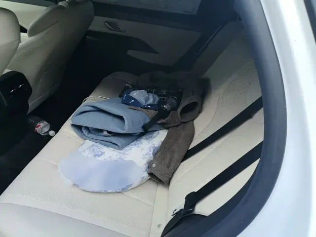 BYD Qin PLUS — Фото автомобиля 13