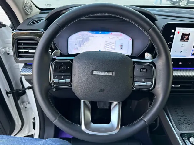 Haval Cool Dog — Фото автомобиля 14