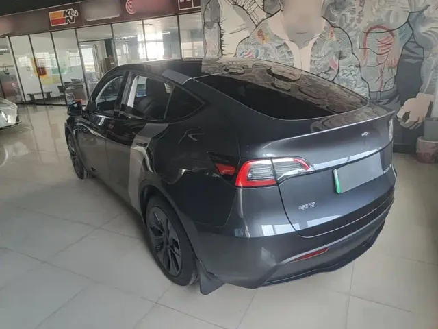 Tesla Model Y — Фото автомобиля 4