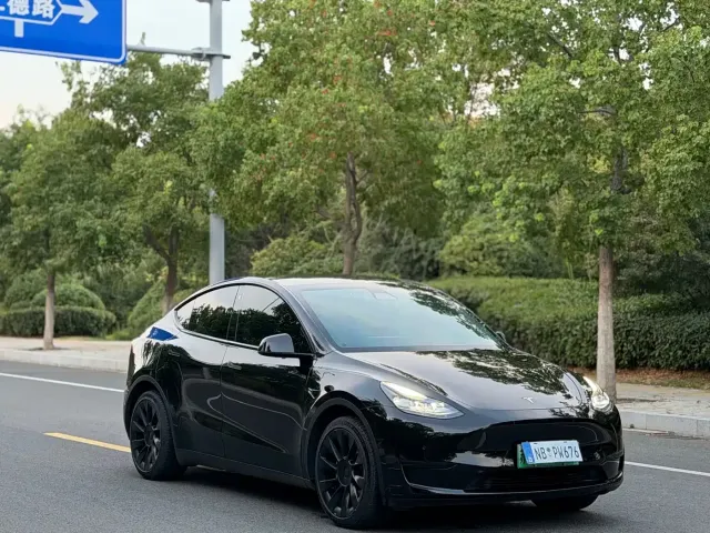 Tesla Model Y — Фото автомобиля 3