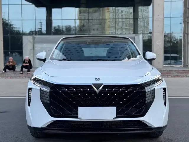 Venucia Venucia Big V 2022 260T Dark Horse Edition·Idol — Фото автомобиля 2