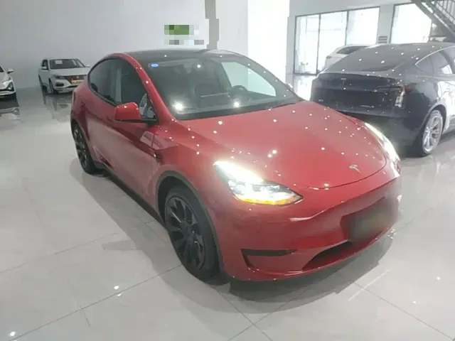 Tesla Model Y — Фото автомобиля 3