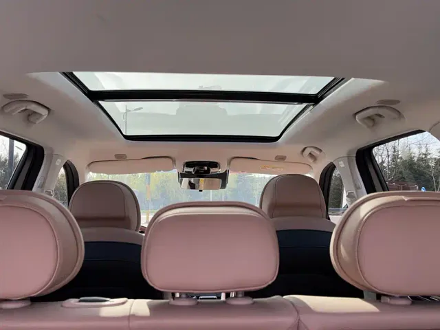 Chery Tiggo 8L — Фото автомобиля 21