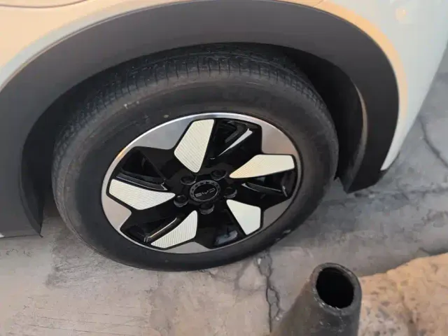 BYD Dolphin — Фото автомобиля 6