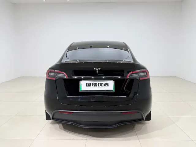 Tesla Model Y — Фото автомобиля 5