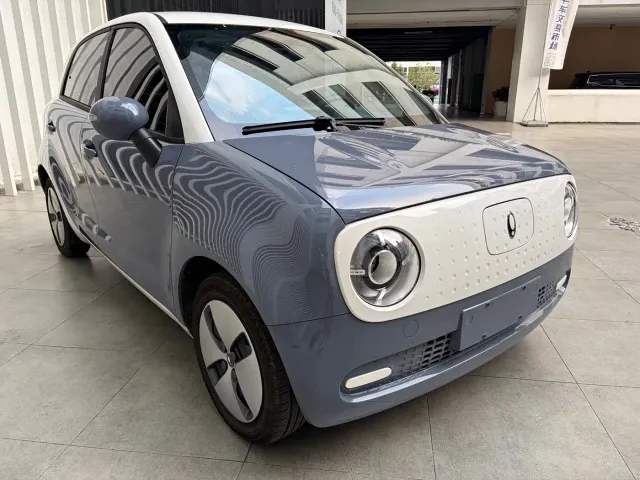 Ora Ora Black Cat 2022 301km Cute Pet Edition (LFP) — Фото автомобиля 16