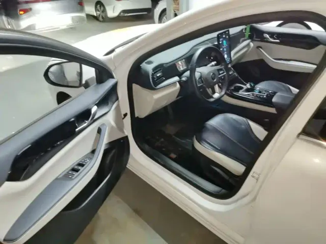 BYD Qin PLUS — Фото автомобиля 15