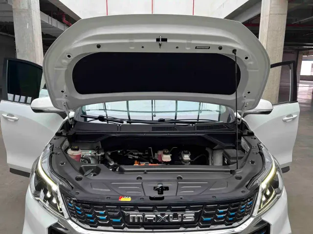 Maxus Dajia 5 — Фото автомобиля 13