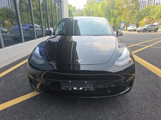 Tesla Model Y — Фото автомобиля 2
