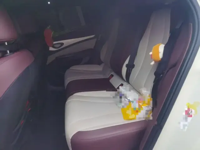 BYD Seal 07 DM-i 2025 Model DM-i 1.5L 125km Luxury — Фото автомобиля 13