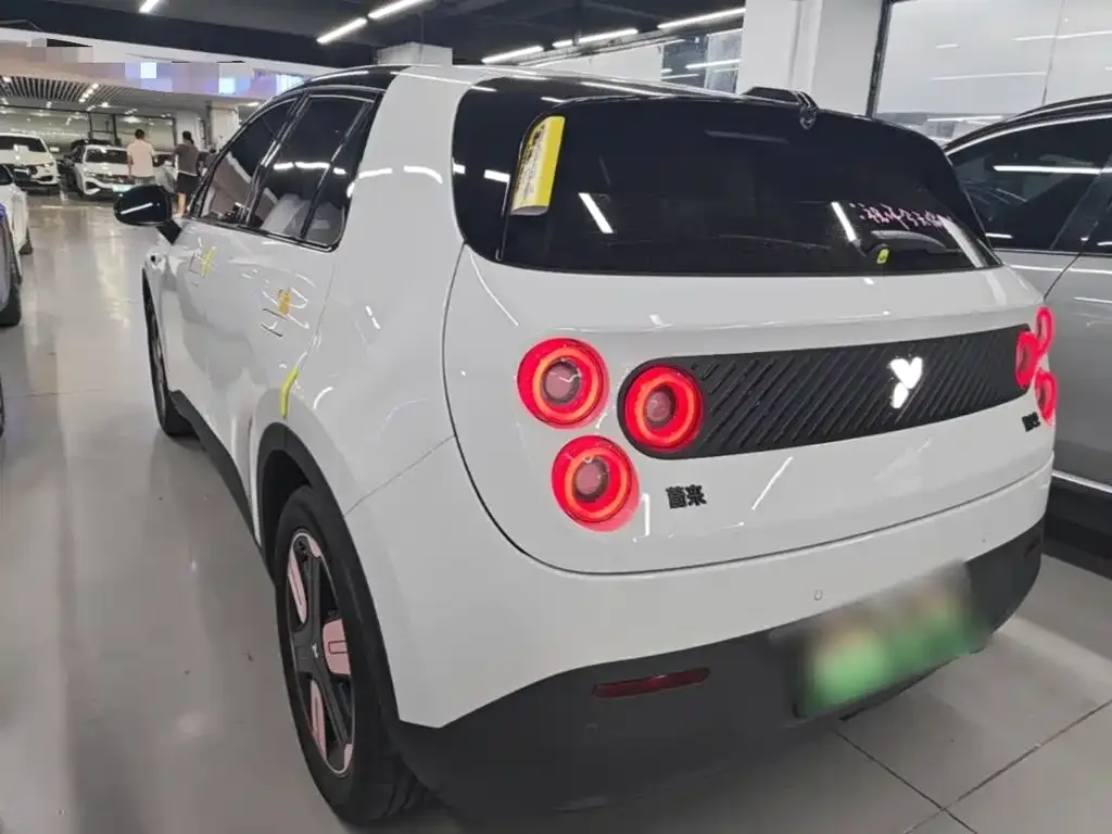 Firefly Firefly 2025 Luminescent Edition — Фото автомобиля 4