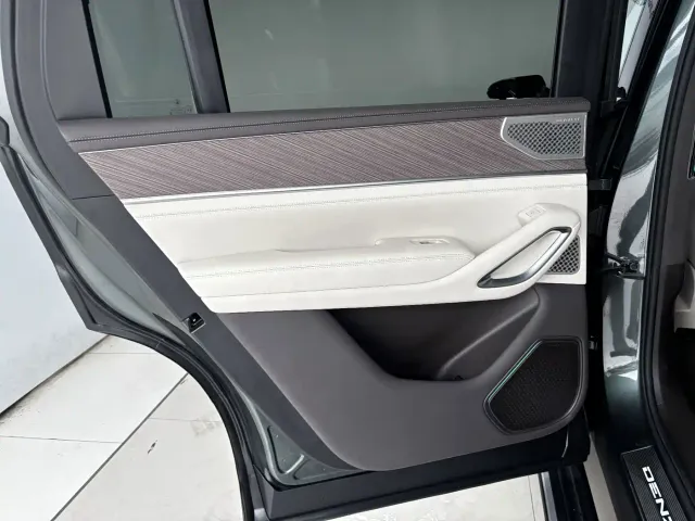 Denza N9 — Фото автомобиля 20