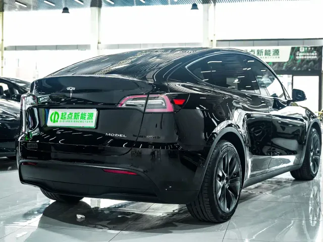 Tesla Model Y — Фото автомобиля 2