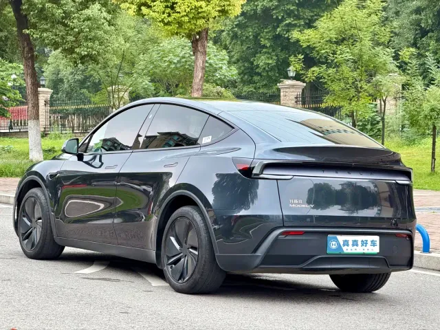 Tesla Model Y — Фото автомобиля 6