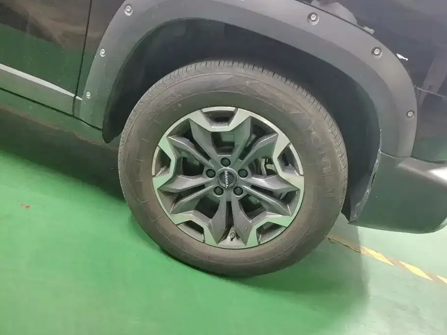 Haval Haval Big Dog 2024 2.0T DCT Chinese Rural Dog Edition — Фото автомобиля 6