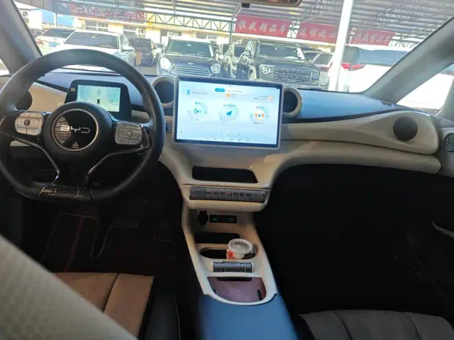 BYD Dolphin — Фото автомобиля 12