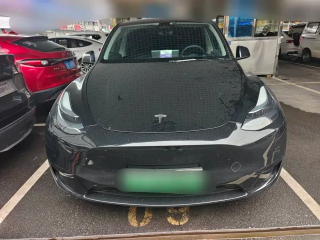 Tesla Model Y — Фото автомобиля 2