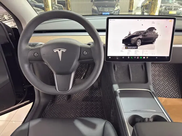 Tesla Model Y — Фото автомобиля 14