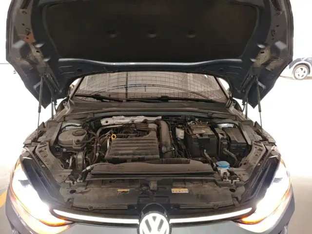Volkswagen Lamando — Фото автомобиля 19